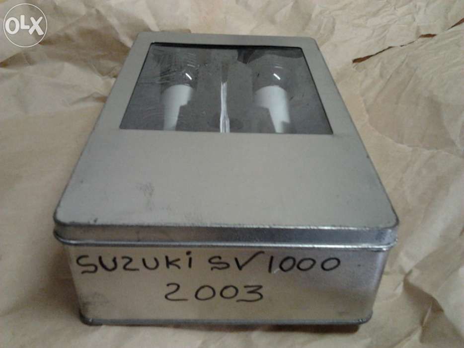 Cogumelos Suzuki SV 1000