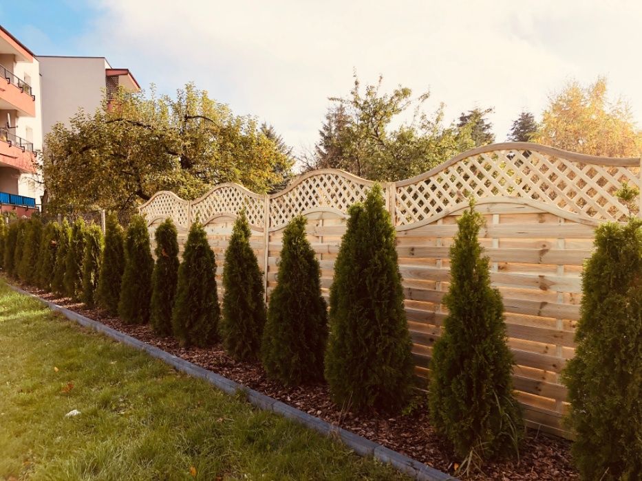 Pergola Płot Fala Podwójna 180x180x4.4 cm LUX06 Płoty Najlepsza Jakość