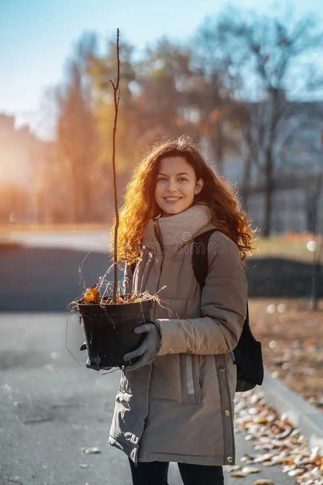 Земляні роботи . Деревья/Сад , зливні ями ,траншей , котлованы ,перемещение планировка грунта 350 гр