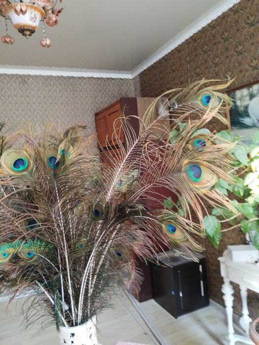 Продам букет из пера павлина.