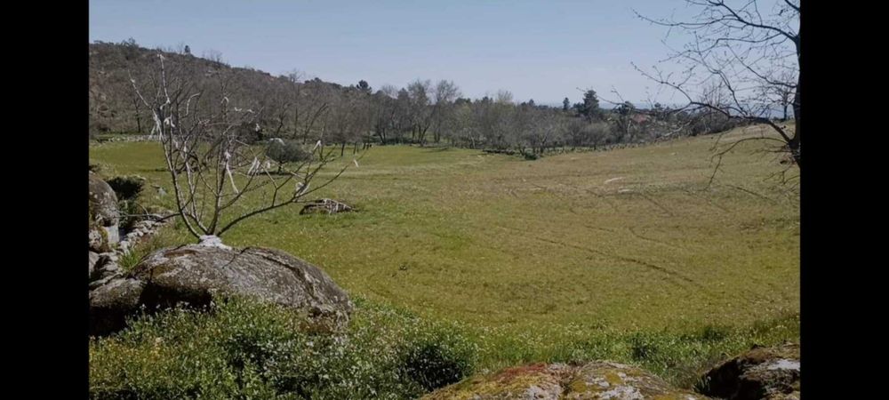 Terreno com 1,6h e viabilidade de construção apoio agricola