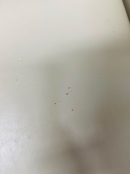 Cadeiras de Sala em Pele