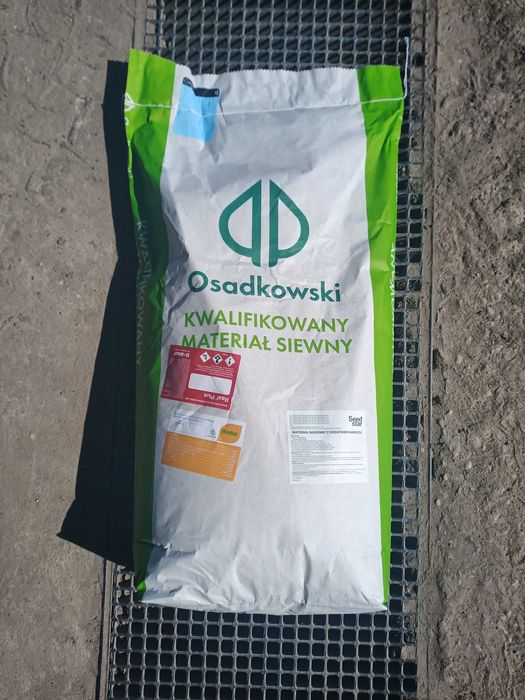 Pszenica Ozima Impresja, Pszenica do siania, materiał siewny Pszenica