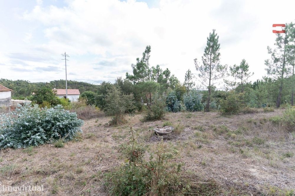 Terreno Rústico com Viabilidade de Construção em Juncal