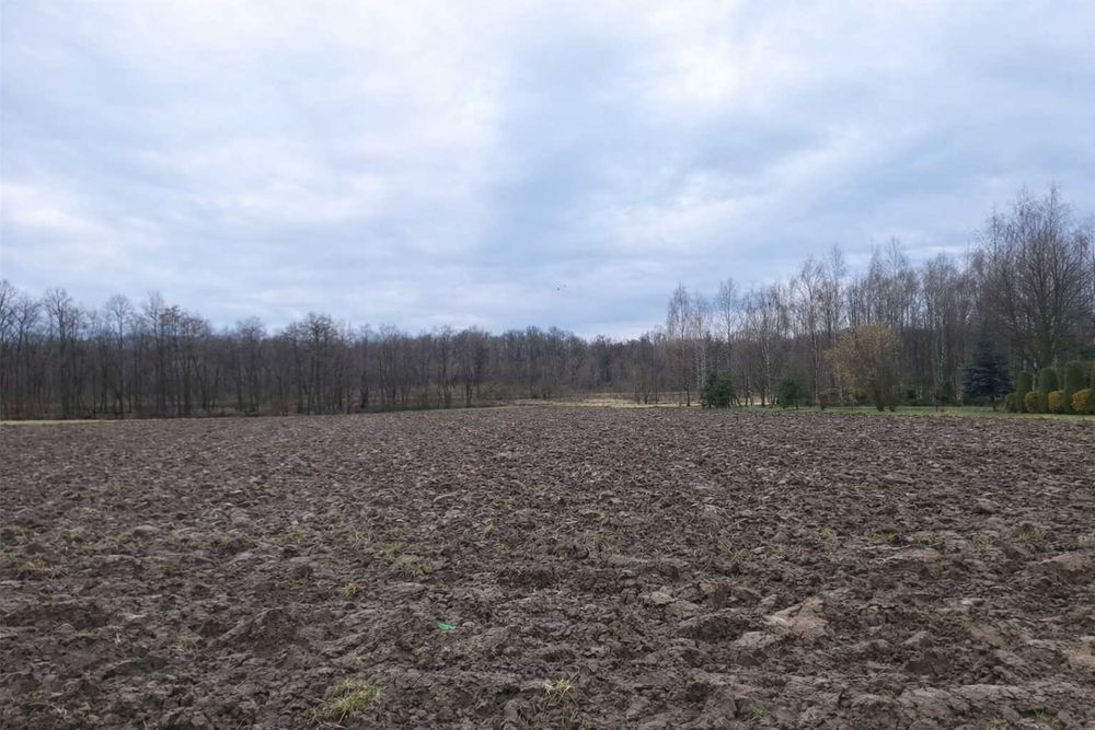 DZIAŁKA BUDOWLANA 1100 M2, DWORY DRUGIE, OKOLICE OŚWIĘCIMIA - Widok 4