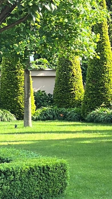 Дом по адресу ул. Спортивная (площадь 550 м²) - Atlanta.ua - фото 18