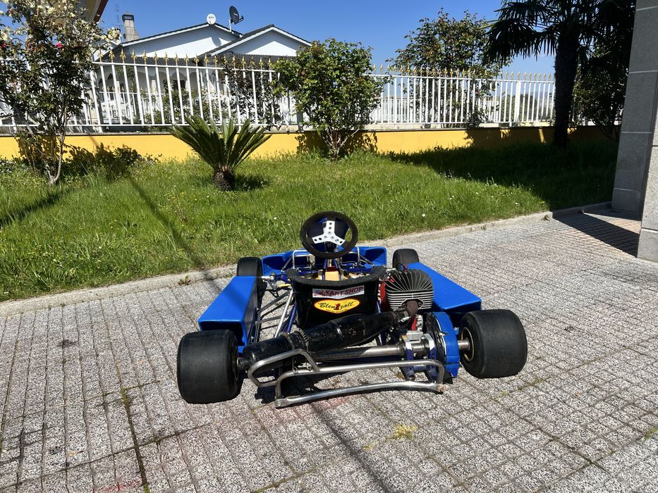 Karting competição IAME 100cc