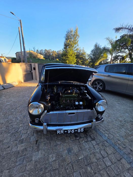 MINI 1000533468764481136641