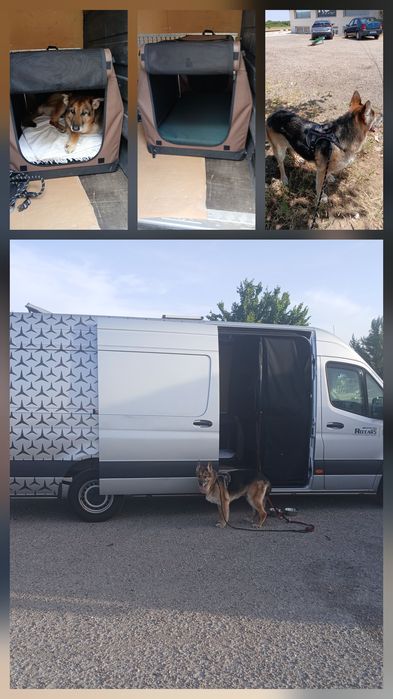 Mercedes sprinter xxl 316
