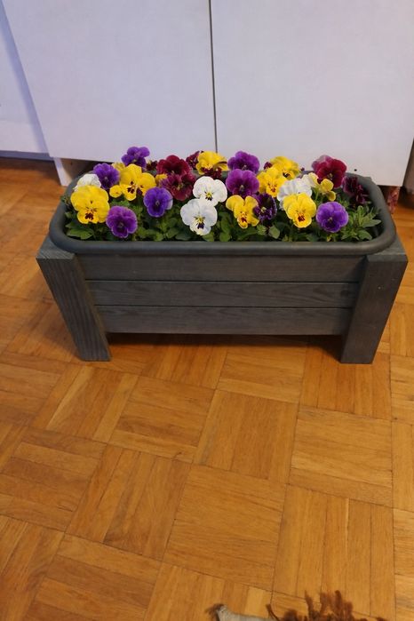 Skrzynka/donica na kwiaty