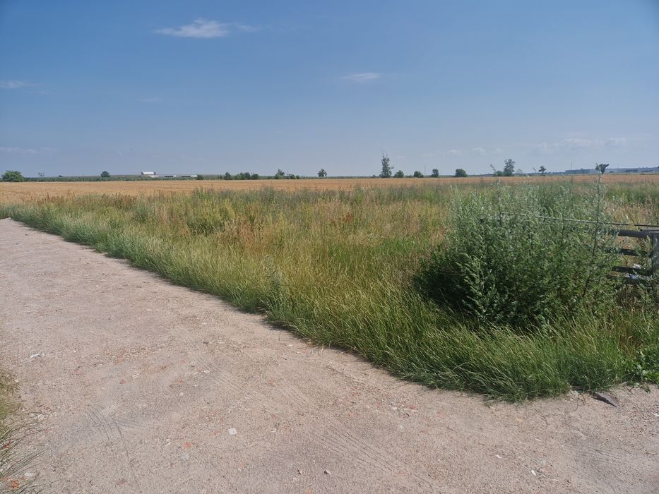 Działka Strykowo