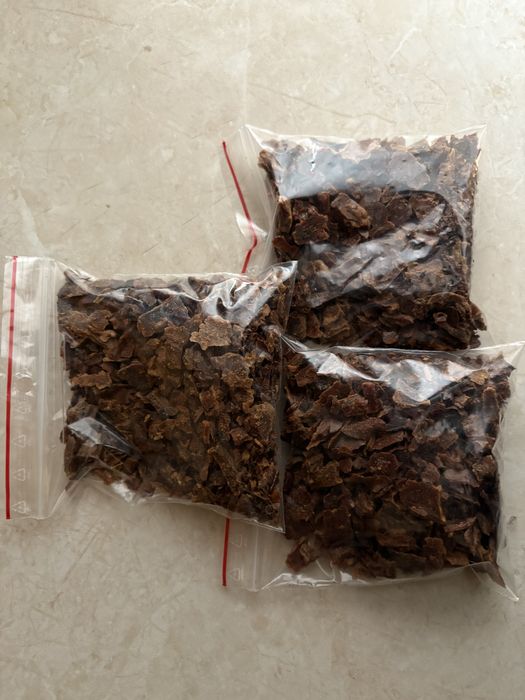 Propolis kit pszczeli