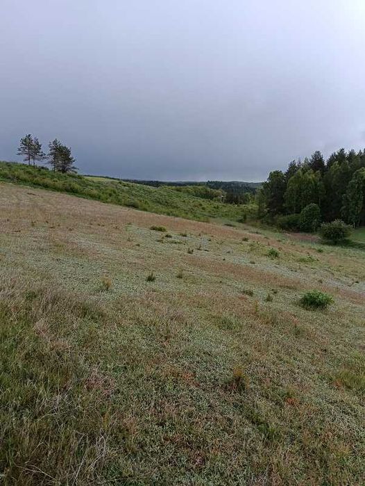 Działka rolna Stara Huta - Widok 2