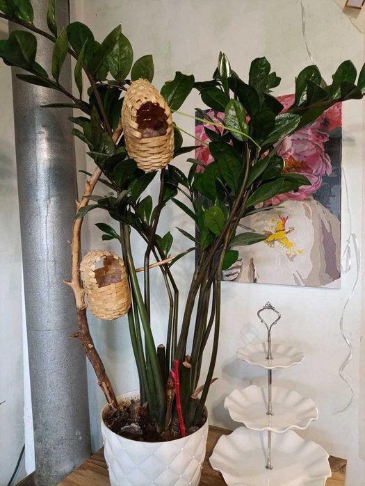 Продается дом в селе Чемужовка Змиевской район