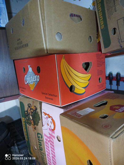 Kartony po bananach