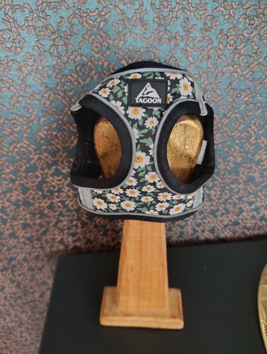 Szelki plus ubranko dla szczeniaka