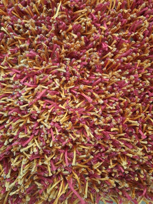 Tapete TIFFANY Hand Made In India