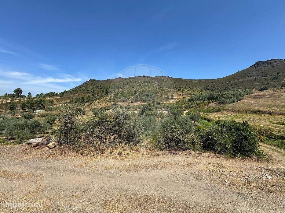 Terreno  para venda