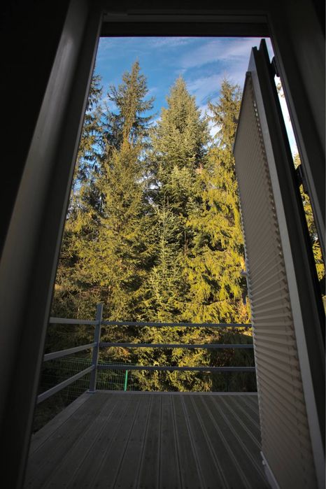 Відпочинок в Карпатах. Відпочинок у Ворохті