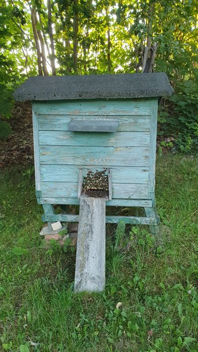 Sprzedam ule ul z pszczołami pszczoły pasieka