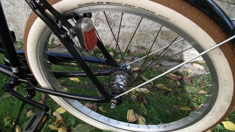 Cruiser rower alu nexus shimano shwalbe