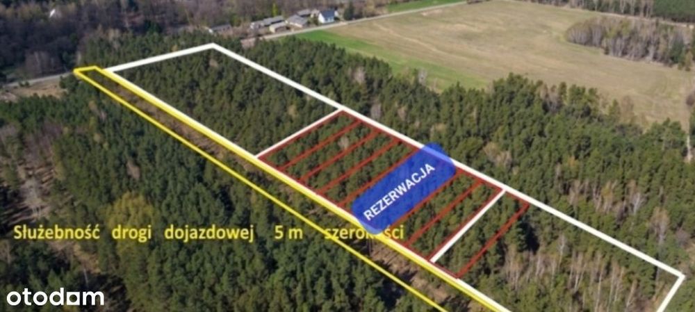 Piękna działka idealna pod rekreacje odpoczynek zadrzewiona las natura
