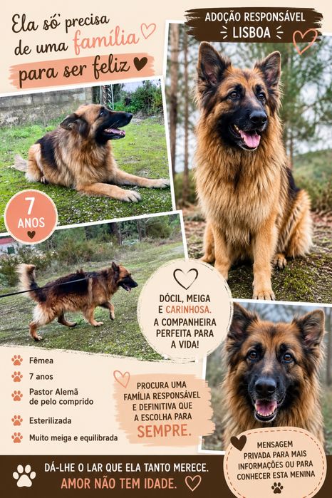 ADOPÇÃO RESPONSÁVEL – LISBOA