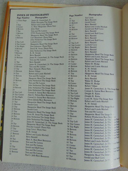 Album Wildflowers - Ann Reilly