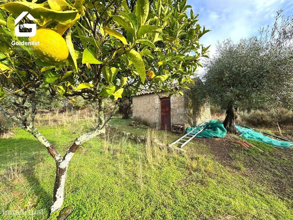 Quintinha  Venda em São Miguel de Acha,Idanha-a-Nova