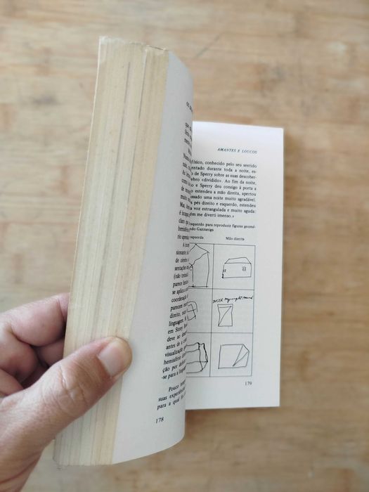 Os Dragões do Éden - Carl Sagan