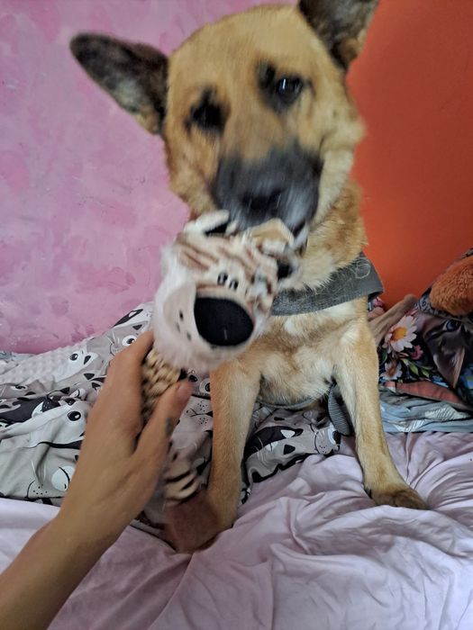 Niktnas nie chce. Dzeki i Dino ;(