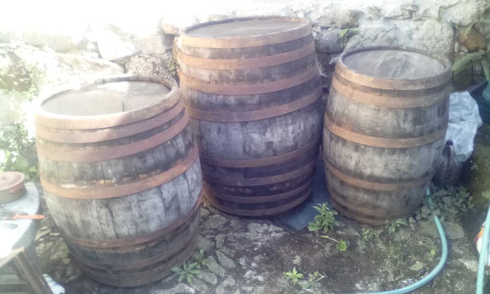 Barris de vinho em madeira