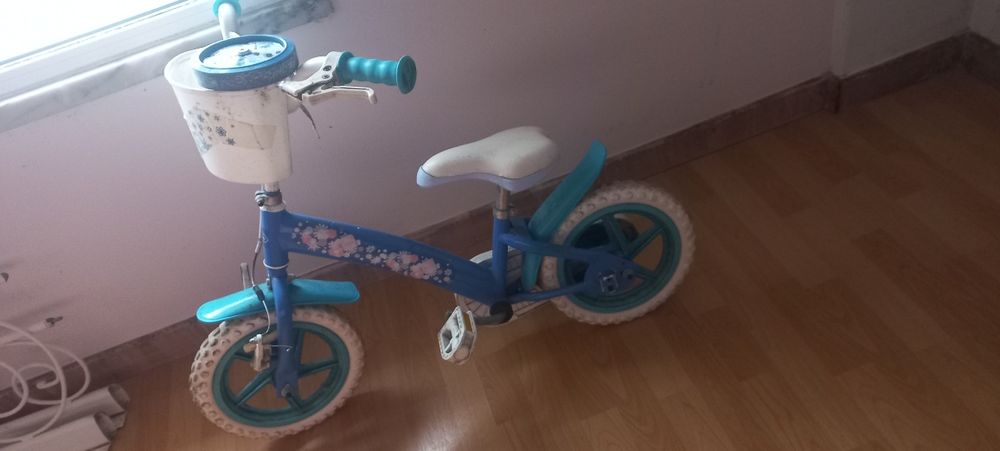 Bicicleta frozen