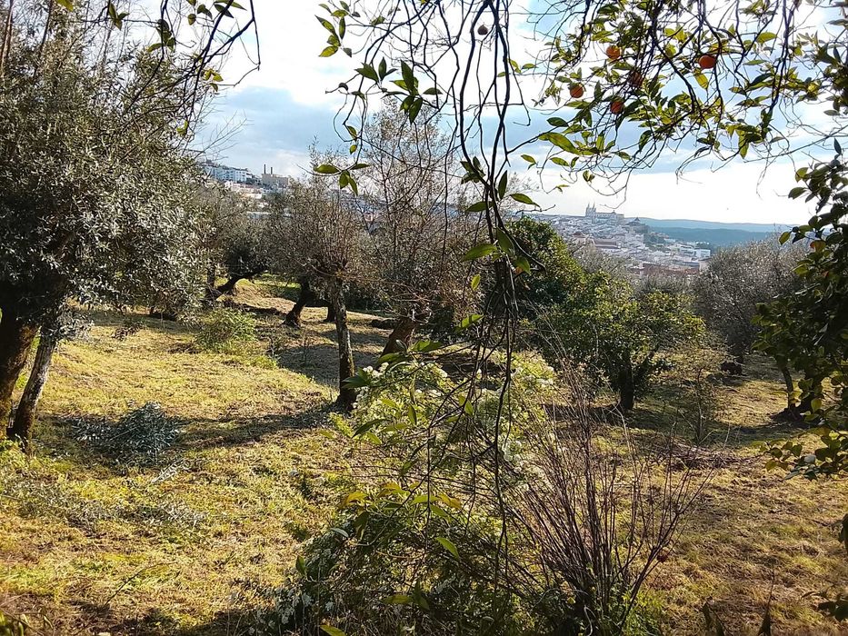 Terreno para construção