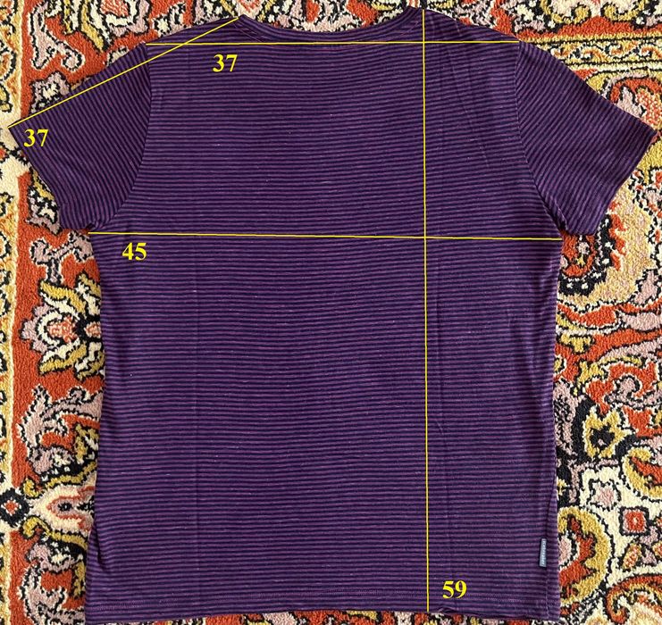 Жіноча футболка Icebreaker merino wool