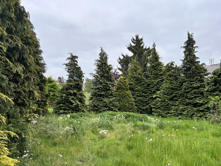 Działka  budowlana  3000 metrow kwadr. Nad morzem - Widok 5