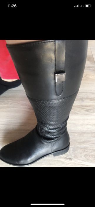 Kozaki lasocki  skora