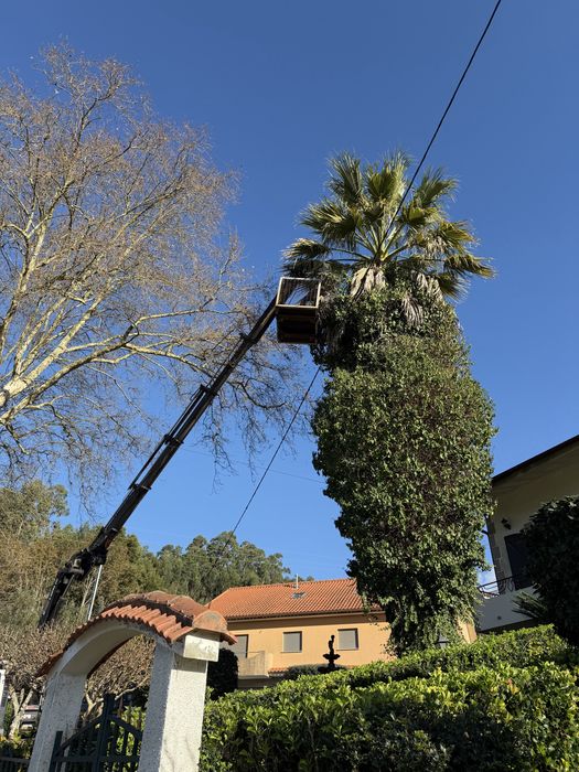 Man com grua hiab 322 com 22.5M E bascúla