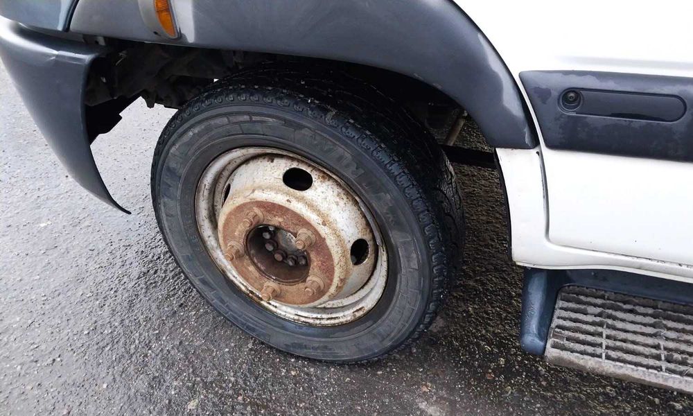 Renault Mascott 2010