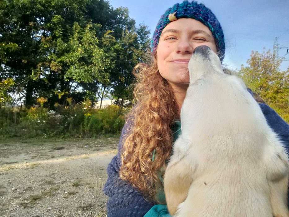 Petsitter, hotel dla psów, opieka nad psem, spacery