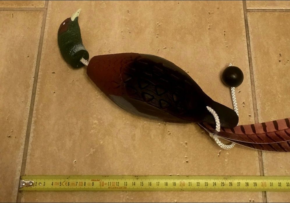 Aport Fryga Dummy BAŻANT do nauki aportu dla psa wyżła labradora.