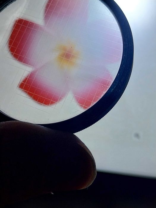 Vendo vários filtros de efeitos da minha coleção