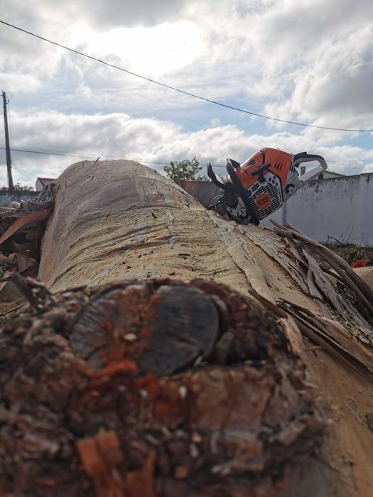 Corte de árvores difíceis / Difficult tree pruning and removal