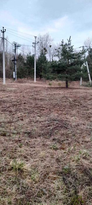 Дмитрівка, 12 соток для садівництва. Поруч ліс