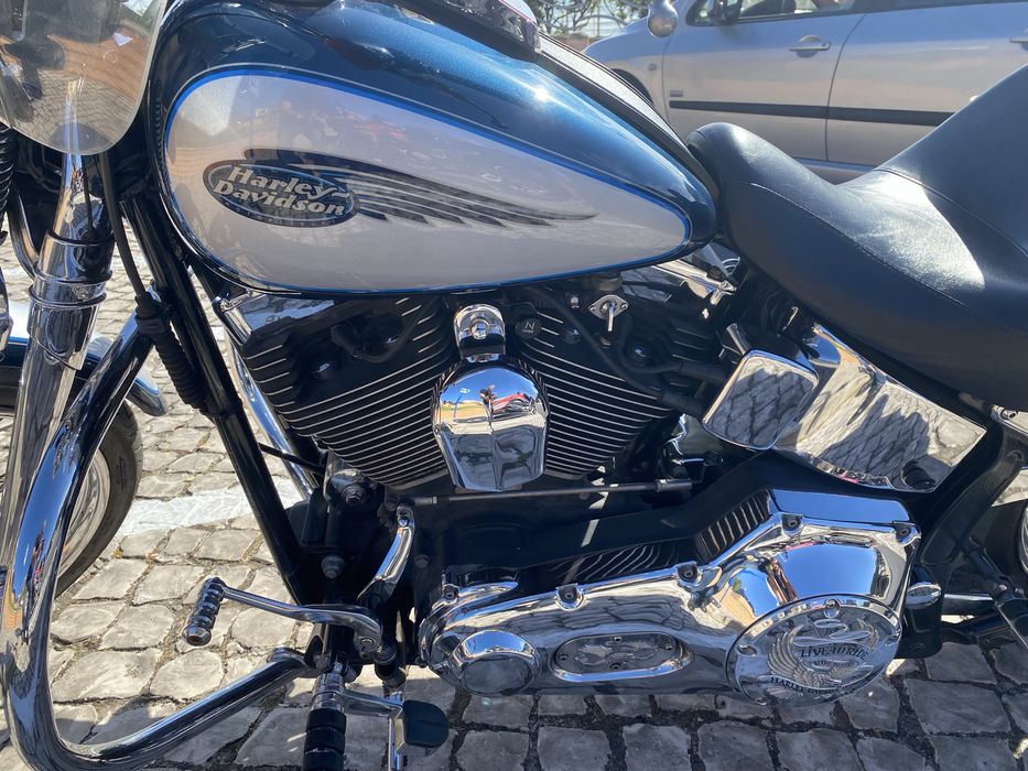 Harley Davidson Springer.