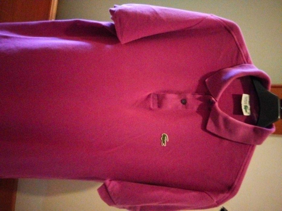 Polo Lacoste  Homem