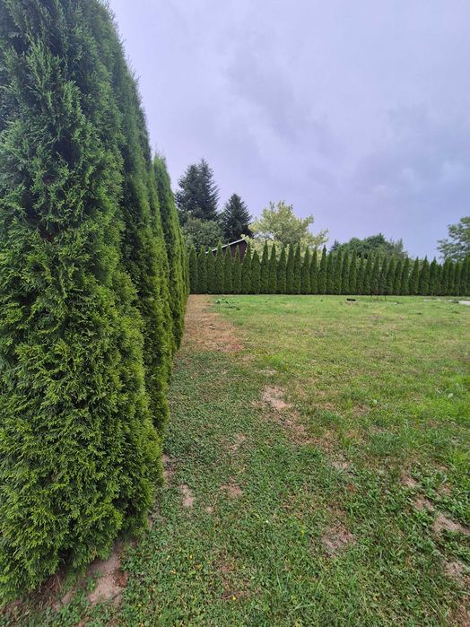 Ogródek działkowy - ROD Senior