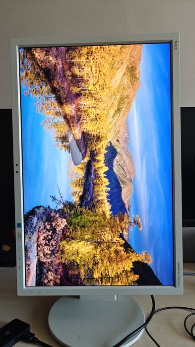Monitor komputerowy 24" NEC EA243WM pivot