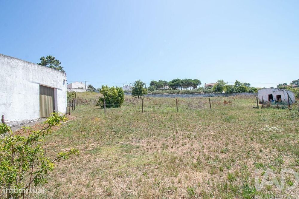 Casa / Villa T3 em Lamas e Cercal de 430 m2