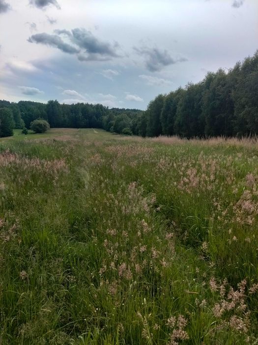 działka rolno  budowlana - Widok 5